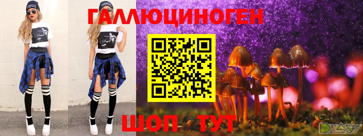Галлюциногенные грибы Psilocybine cubensis  Псилоцибиновые грибы Psilocybe  Вход с VPN  Гусиноозёрск 